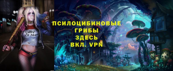 apvp Аркадак
