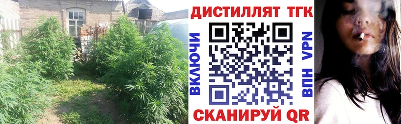 ТГК концентрат  omg ссылки  Горячеводский 